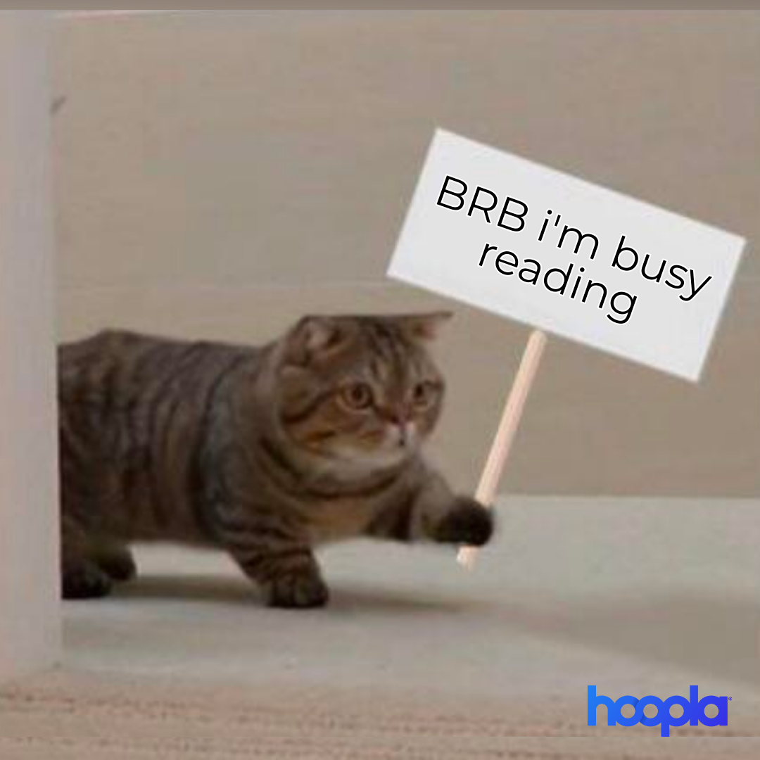 Social_MEME-CatWithBRBSign-Hoopla_2025