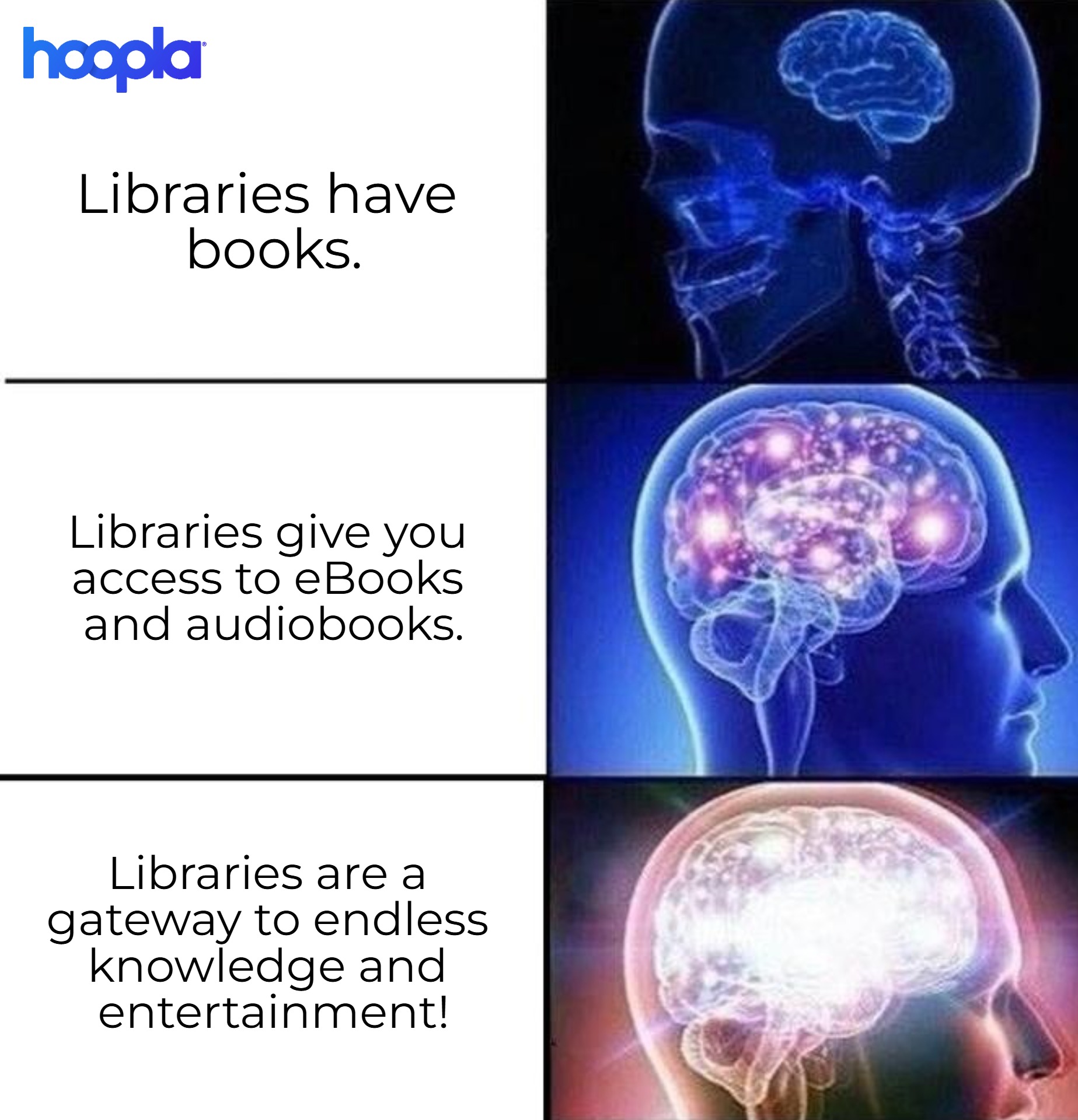 Social_MEME-ExpandingBrain-Hoopla_2025